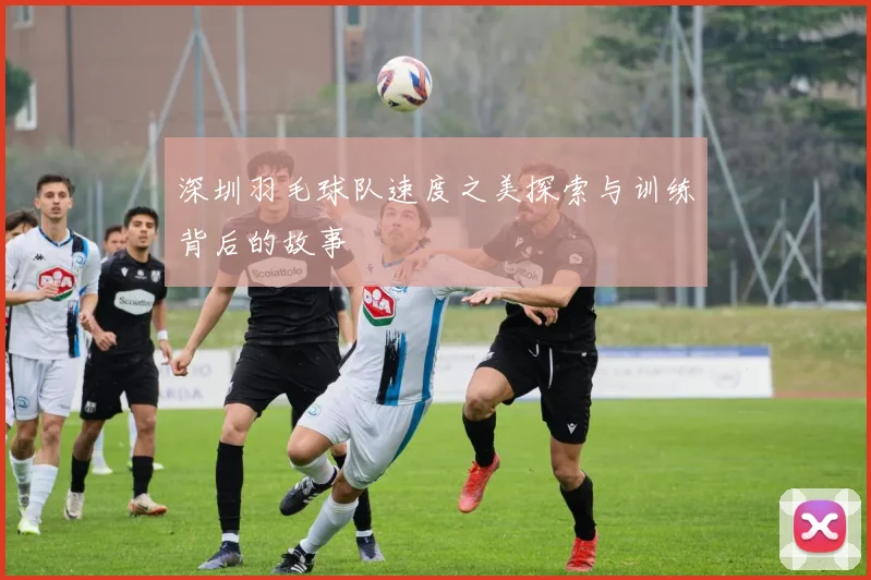 深圳羽毛球队速度之美探索与训练背后的故事